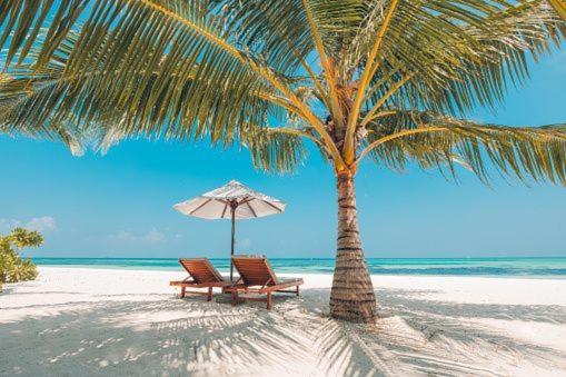 Gorgeous Beachy Chic Condo In Key Biscayne マイアミ エクステリア 写真